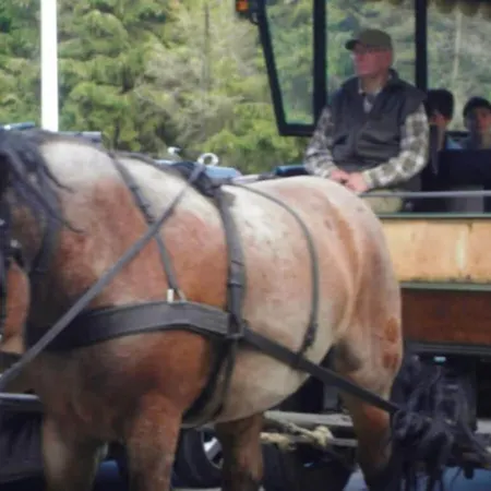 Darsskieker Comfortable Prerow