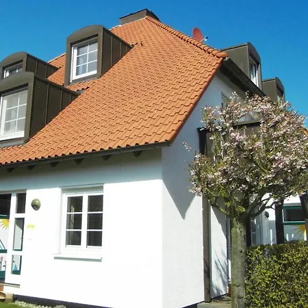 Darsskieker Comfortable