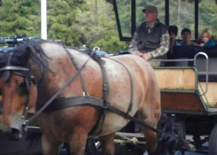 Darsskieker Comfortable Prerow