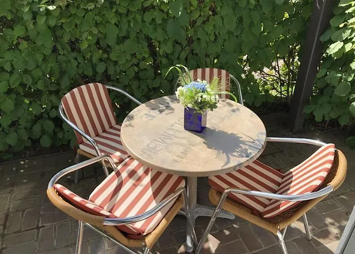 Darsskieker Comfortable