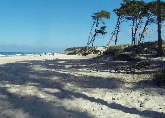 Darsskieker Comfortable Сasa de vacaciones Prerow